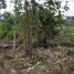  Land for sale in Ubud, Gianyar, Ubud