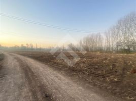  Land for sale in Chacabuco, Santiago, Colina, Chacabuco