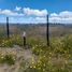  Terreno (Parcela) en venta en Curaco de Velez, Chiloé, Curaco de Velez