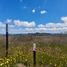  Terreno (Parcela) en venta en Curaco de Velez, Chiloé, Curaco de Velez