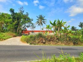  Terreno (Parcela) en venta en Pakem, Yogyakarta, Pakem, Sleman