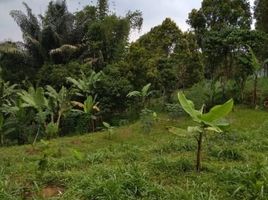  Tanah for sale in Cimahi Tengah, Bandung, Cimahi Tengah