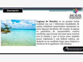  Grundstück zu verkaufen in Othon P Blanco, Quintana Roo, Othon P Blanco