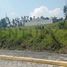  Terrain for sale in Quicentro, Quito, Quito, Quito
