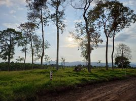  Terreno (Parcela) en venta en Alcala, Valle Del Cauca, Alcala