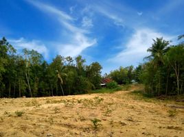  Land for sale in Bantul, Yogyakarta, Pajangan, Bantul