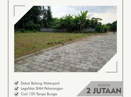  Land for sale in Bantul, Yogyakarta, Pajangan, Bantul