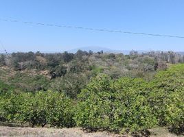 在Coatepec, Veracruz出售的 土地, Coatepec