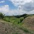  Land for sale in Ulloa, Valle Del Cauca, Ulloa