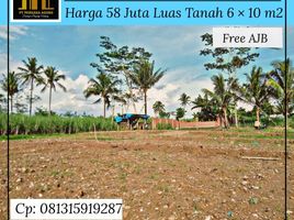  Land for sale in Ngajum, Malang Regency, Ngajum