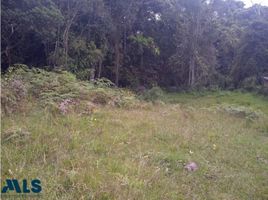  Terreno (Parcela) en venta en Guarne, Antioquia, Guarne