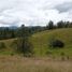  Land for sale in La Ceja, Antioquia, La Ceja, Antioquia, Colombia