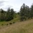  Land for sale in La Ceja, Antioquia, La Ceja, Antioquia, Colombia
