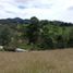  Land for sale in La Ceja, Antioquia, La Ceja, Antioquia, Colombia