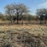  Terrain for sale in San Javier, Cordoba, San Javier