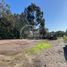  Terreno (Parcela) en venta en Valparaíso, Santo Domingo, San Antonio, Valparaíso