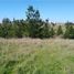  Land for sale in Paredones, Cardenal Caro, Paredones