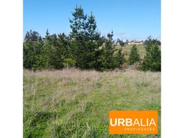  Terrain for sale in Cardenal Caro, Libertador General Bernardo Ohiggins, Paredones, Cardenal Caro