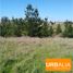  Land for sale in Paredones, Cardenal Caro, Paredones