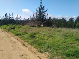  Land for sale in Paredones, Cardenal Caro, Paredones