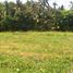  Land for sale in Selemadeg, Tabanan, Selemadeg