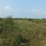  Land for sale in Panuco, Veracruz, Panuco
