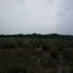  Land for sale in Panuco, Veracruz, Panuco