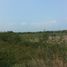  Land for sale in Panuco, Veracruz, Panuco