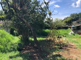  Terreno (Parcela) en venta en Tlalnelhuayocan, Veracruz, Tlalnelhuayocan, Veracruz