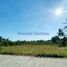  Land for sale in Yogyakarta, Pengasih, Kulon Progo, Yogyakarta