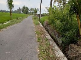  Land for sale in Yogyakarta, Seyegan, Sleman, Yogyakarta