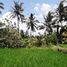  Land for sale in Tampak Siring, Gianyar, Tampak Siring