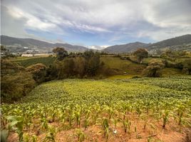  Land for sale in El Carmen De Viboral, Antioquia, El Carmen De Viboral