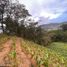  Land for sale in El Carmen De Viboral, Antioquia, El Carmen De Viboral