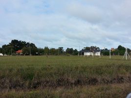  Land for sale in General Alvarado, Buenos Aires, General Alvarado