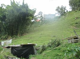  Terreno (Parcela) en venta en Caldas, Manizales, Caldas