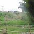  Land for sale in Caldas, Manizales, Caldas