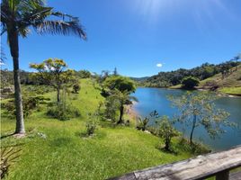  Grundstück zu verkaufen in Penol, Antioquia, Penol