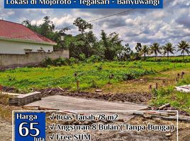  Land for sale in Banyuwangi, East Jawa, Gambiran, Banyuwangi