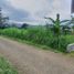  Land for sale in Malang Regency, East Jawa, Bumiaji, Malang Regency