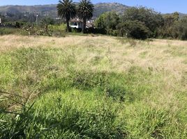  Land for sale in Tumbaco, Quito, Tumbaco