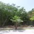  Land for sale in Isla Mujeres, Quintana Roo, Isla Mujeres