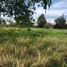  Land for sale in Morelia, Michoacan, Morelia, Michoacan