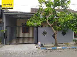 2 Bedroom House for sale in Sidoarjo, East Jawa, Sidoarjo, Sidoarjo