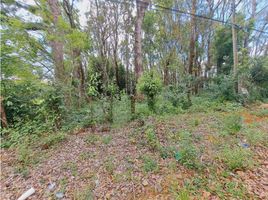  Terrain for sale in Dolega, Chiriqui, Dolega, Dolega