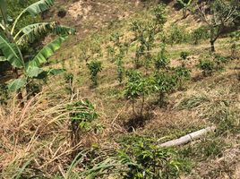  Terreno (Parcela) en venta en Santa Rosa De Cabal, Risaralda, Santa Rosa De Cabal