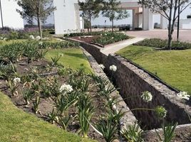  Grundstück zu verkaufen in Corregidora, Queretaro, Corregidora