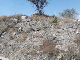  Terreno (Parcela) en alquiler en El Marques, Querétaro, El Marques