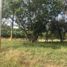  Terreno (Parcela) en venta en Allende, Nuevo León, Allende