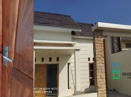 2 Bedroom House for sale in Lamongan, East Jawa, Sugio, Lamongan